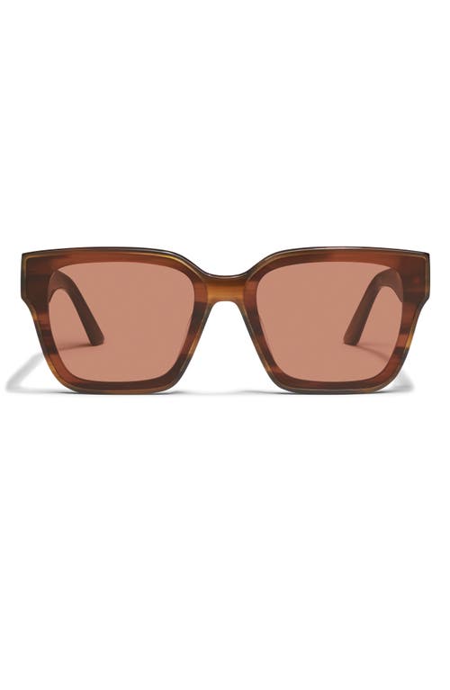 Quay Australia Drive In 51mm Square Sunglasses in Wood Tortoise /Dark Apricot 