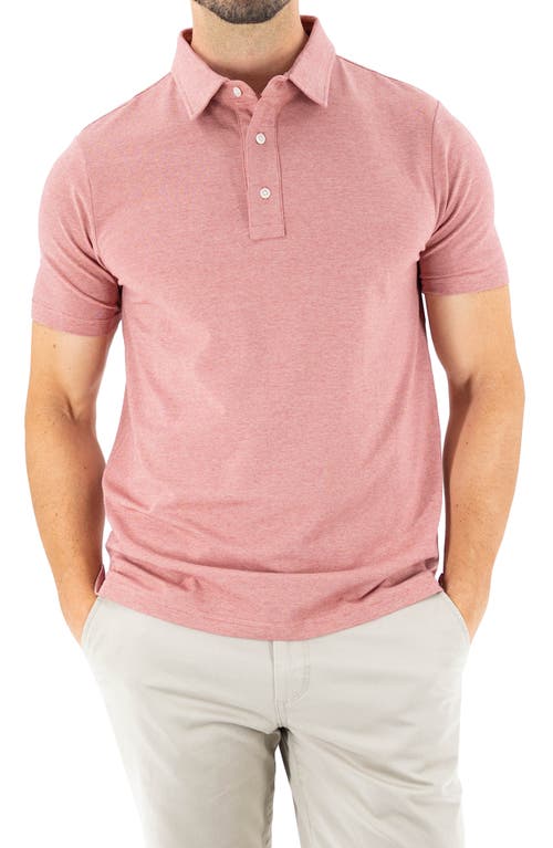 Feeder Stripe Polo in Melange Withered Rose