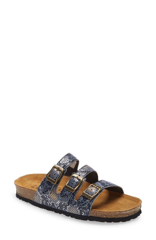 Naot Austin Water Repellent Slide Sandal In Navy Python Leather
