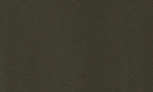 Asrv Established T-shirt In Olive