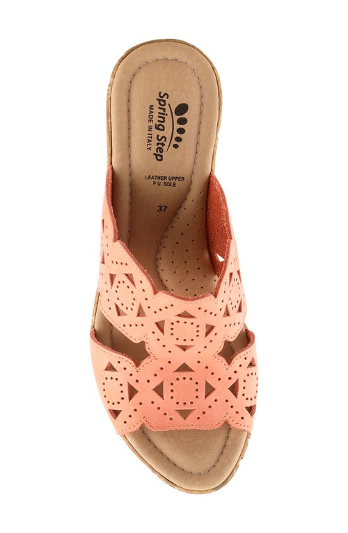 Shop Spring Step Flamyo Platform Wedge In Peach