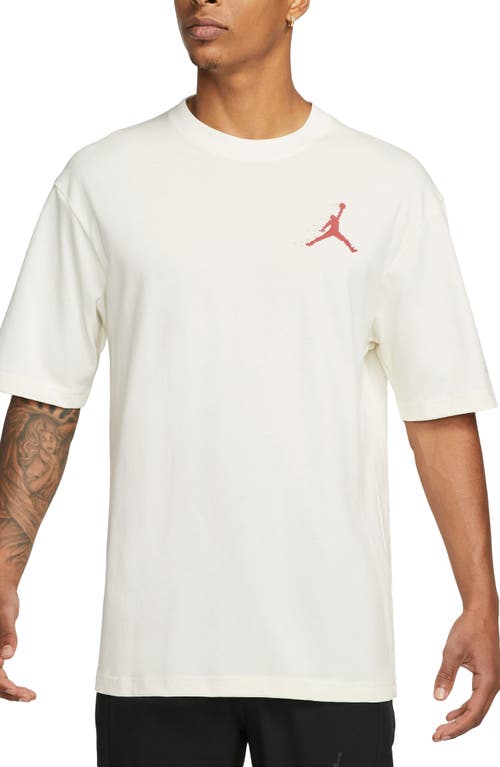 Jordan Essentials Holiday Graphic T-Shirt at Nordstrom,