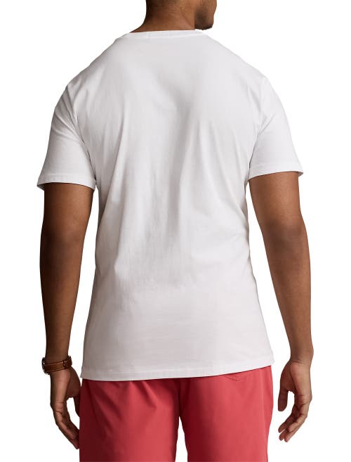 Shop Polo Ralph Lauren Beach Bear Jersey T-shirt In White