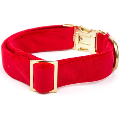 The Foggy Dog Velvet Dog Collar, Red