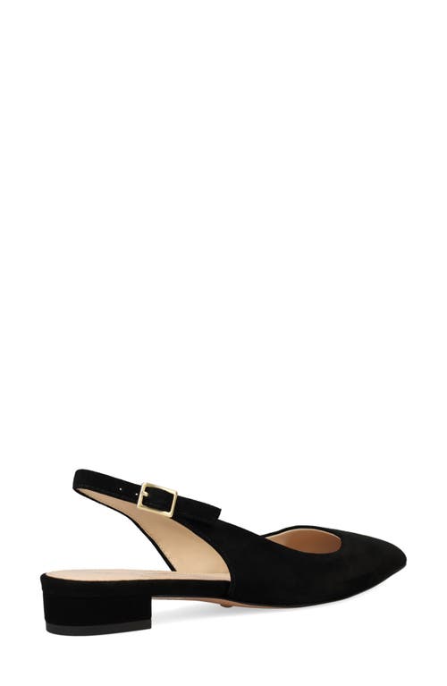 Shop Pelle Moda Aali Pointed Toe Slingback Flat In Black