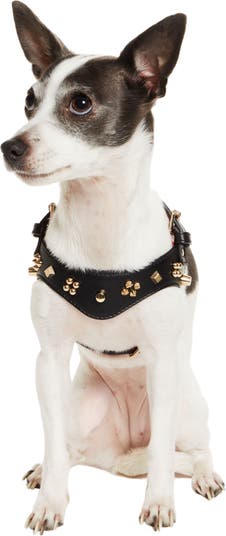 Christian Louboutin Loubicollar Spikes Calfskin Leather Extra Small Dog Collar Black/ Gold