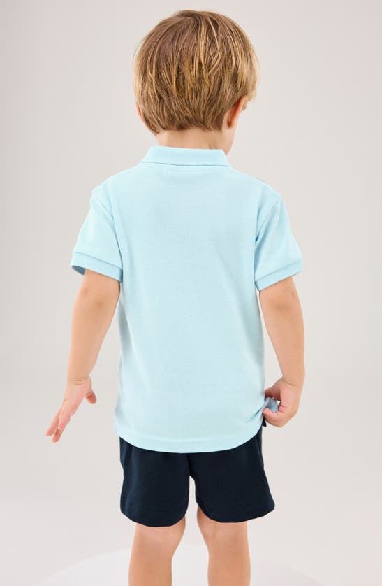 Shop Next Kids' Embroidered Cotton Polo & Shorts Set In Blue