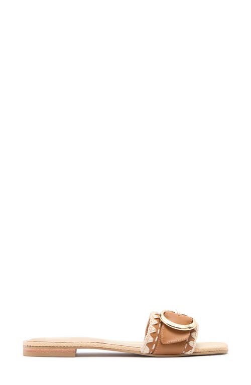 Dolce Vita Grecia Slide Sandal In Tan Leather