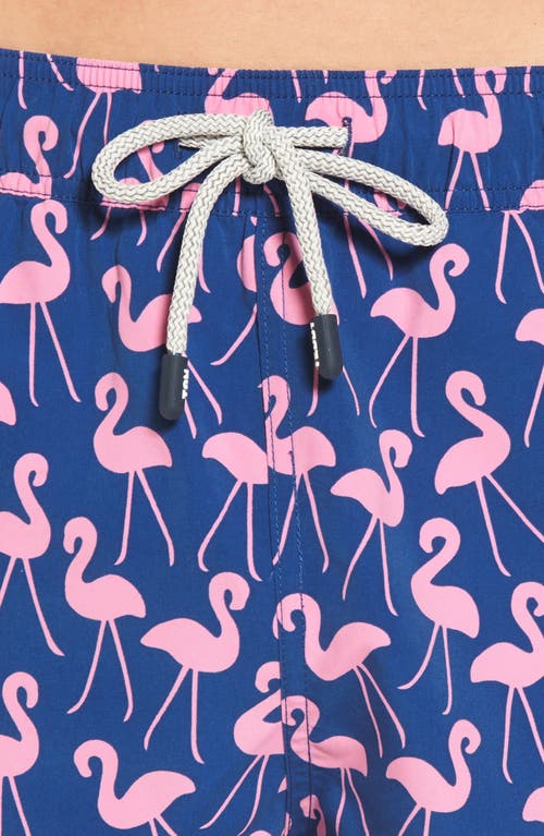 Tom & Teddy Flamingo Print Swim Trunks In Rose & Blue