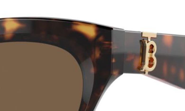 Shop Burberry 55mm Cat Eye Sunglasses In Dark Havana