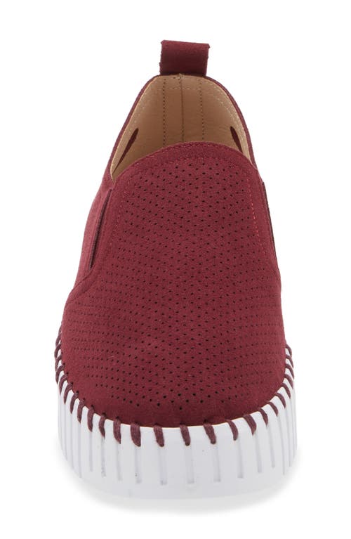 Ilse Jacobsen Tulipu Perforated Platform Sneaker In Winetasting