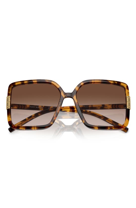 Tory Burch 57mm Gradient Square Sunglasses In Tortoise