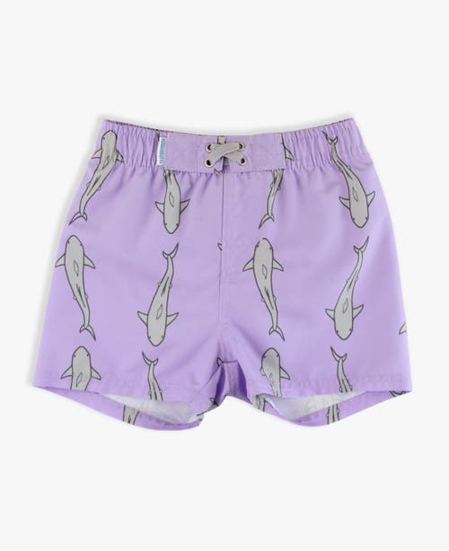 Ruggedbutts Baby Boys Upf50+ Swim Trunks In Purple