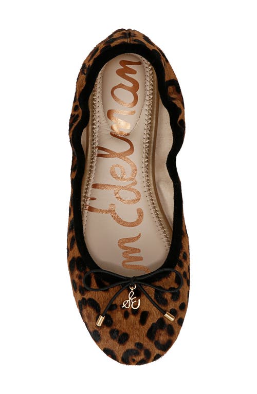 Shop Sam Edelman Felicia Ballet Flat In Granada Tan