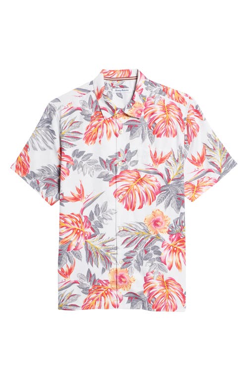 The 15 Best Hawaiian Shirts of 2023: Buying Guide – Robb Report