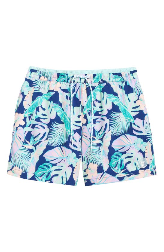 Shop Chubbies Classic Lined 5.5-inch Swim Trunks In The Night Faunas
