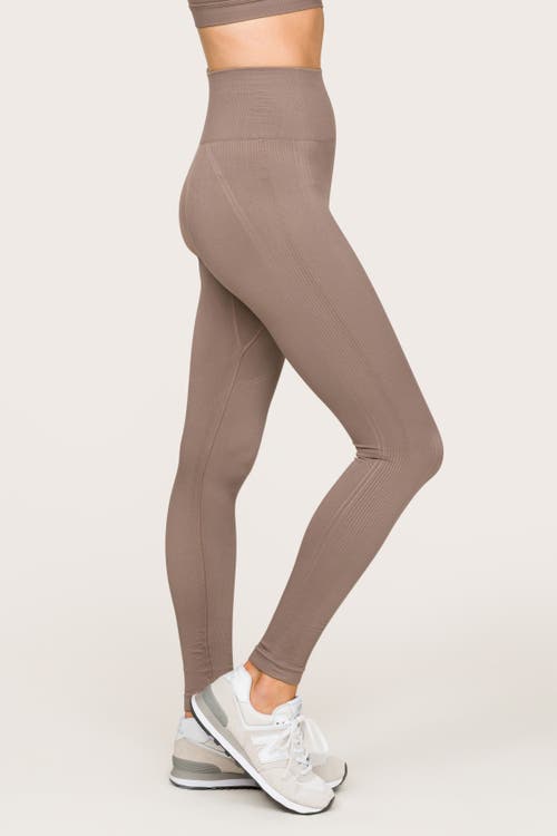 Alala Barre Seamless Tight In Coffee
