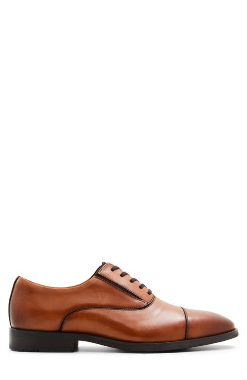 Aldo Paxley Cap Toe Oxford In Cognac