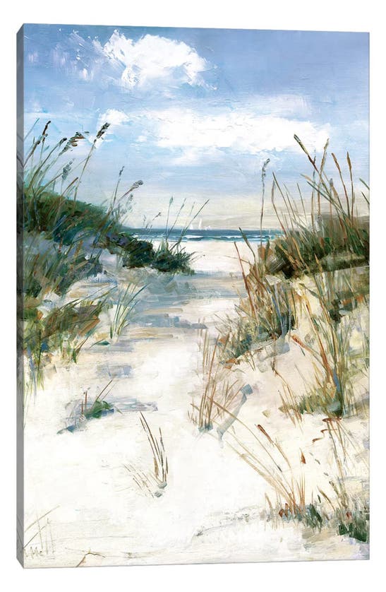 Icanvas 'dune View' By Sally Swatland Canvas Artwork In Multi