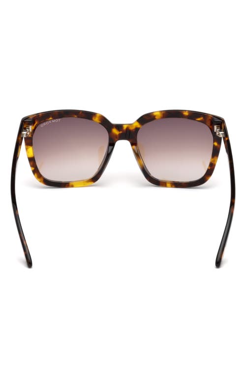 Tom Ford Amarra 55mm Gradient Lens Square Sunglasses In Havana/gradient Brown