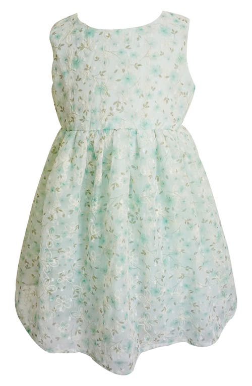 Popatu Floral Embroidered Tulle Overlay Dress Mint at Nordstrom,
