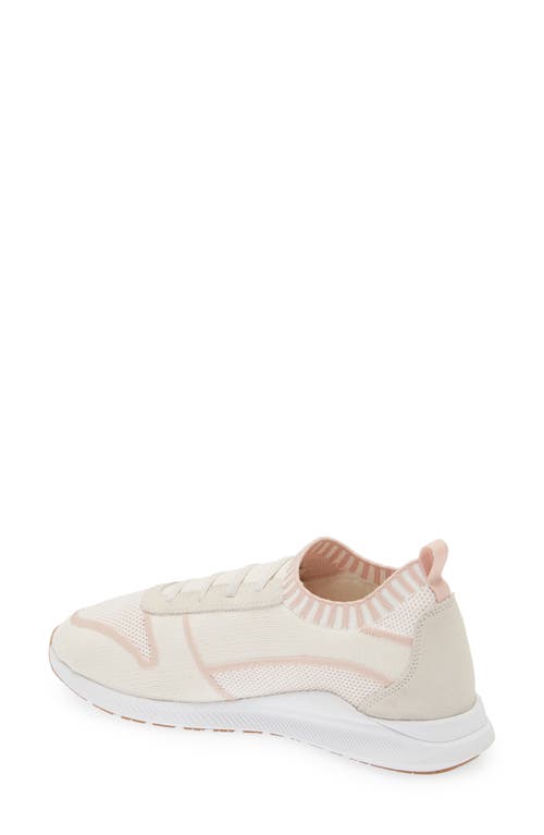 Shop Naot Adonis Slip-on Sneaker In White/pink Knit