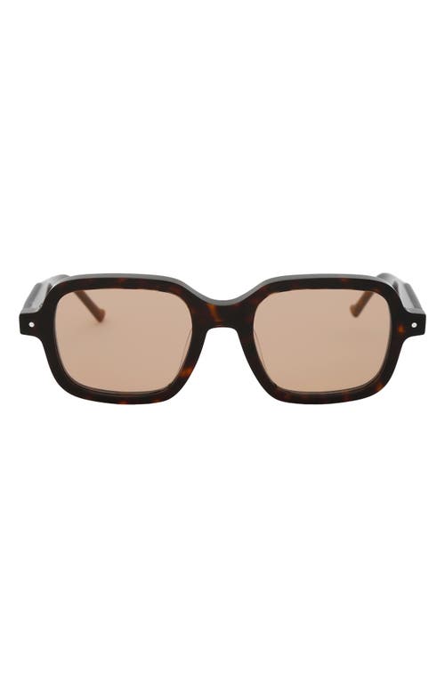 Grey Ant Sext Square Sunglasses In Black