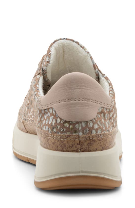 Shop Ara Rem Sneaker In Camel Konfettikid