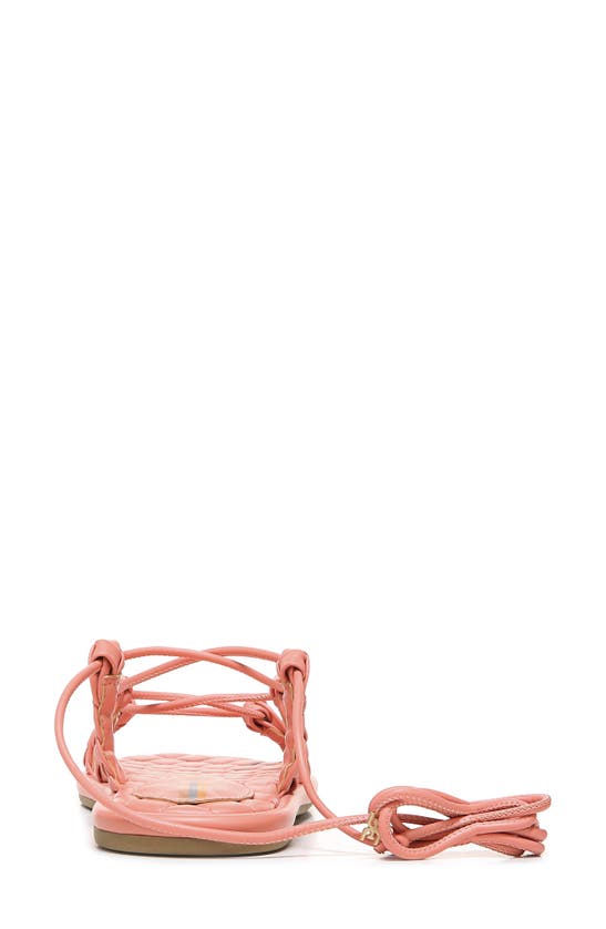 Sam Edelman Zariah Sandal In Canyon Clay