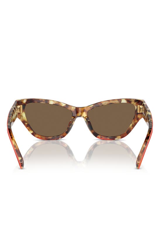 Tory Burch 54mm Cat Eye Sunglasses In Dark Brown