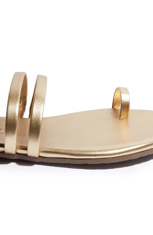 Shop Tkees Leah Toe Loop Sandal In Blink