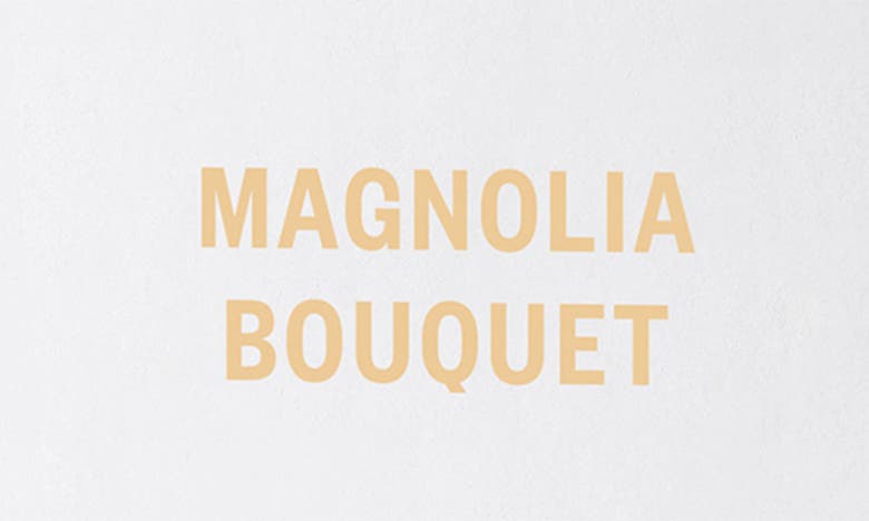 Shop Apotheke Magnolia Bouquet Reed Diffuser