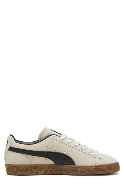 Shop Puma Suede Terrace Sneaker In Alpine Snow-gum