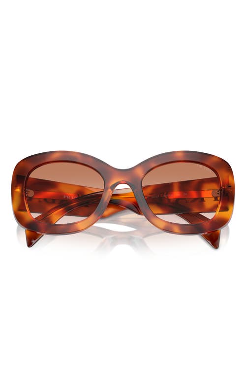 Prada 55mm Gradient Oval Sunglasses In Brown Grad