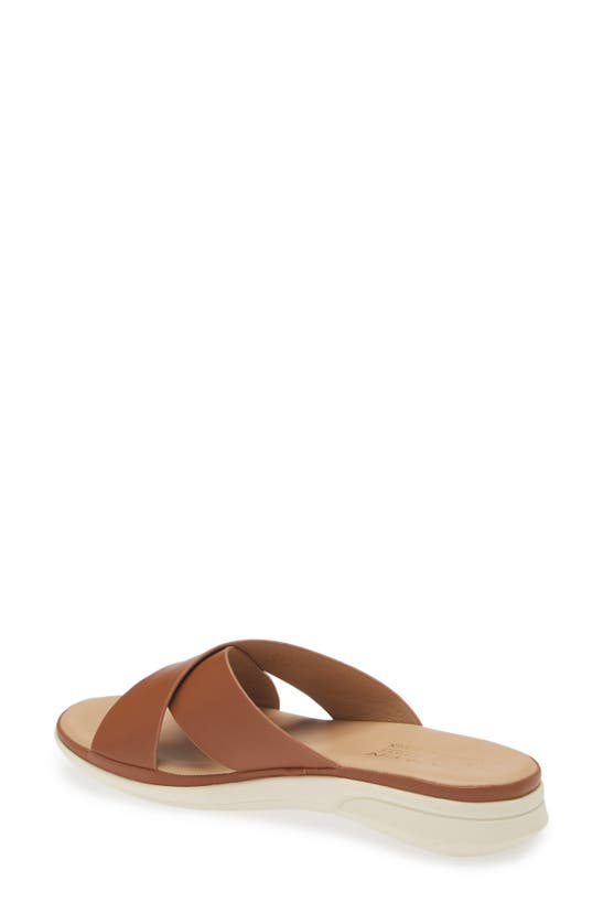 Shop Taryn Rose Crisscross Slide Sandal In Tan