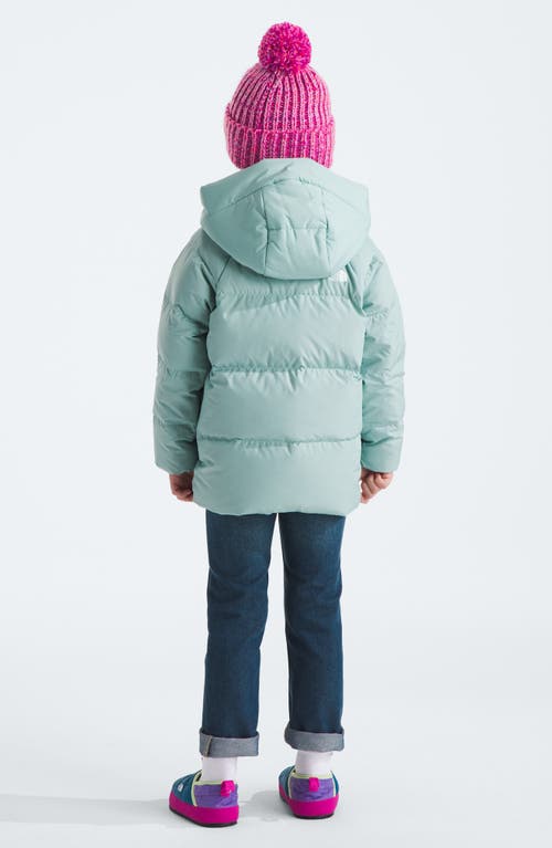 Shop The North Face Kids' North Down Fleece Lined Short Parka In Muted Pine