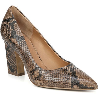 Sarto By Franco Sarto Sasha Pointy Toe Pump, Brown