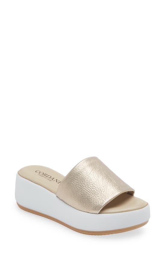 Cordani Chelsea Platform Slide Sandal In Champagne ModeSens