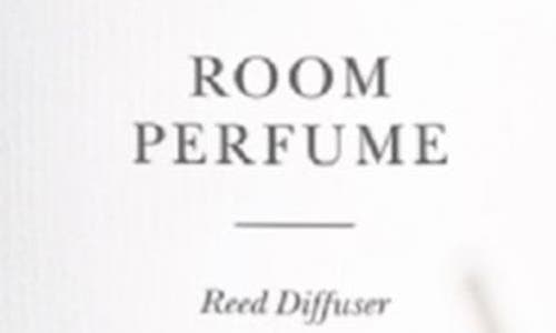 Brooklyn Candle Studio Fern + Moss Reed Diffuser In Fern Moss