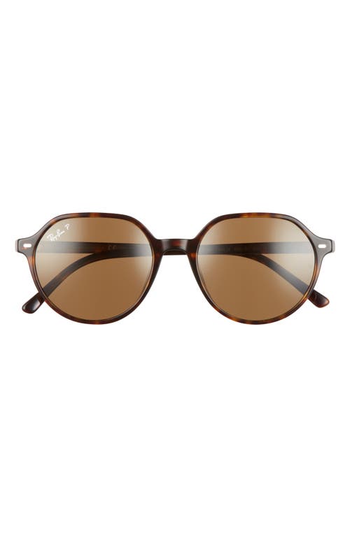 Ray-Ban Thalia 53mm Polarized Square Sunglasses in Havana /Polarized Brown at Nordstrom