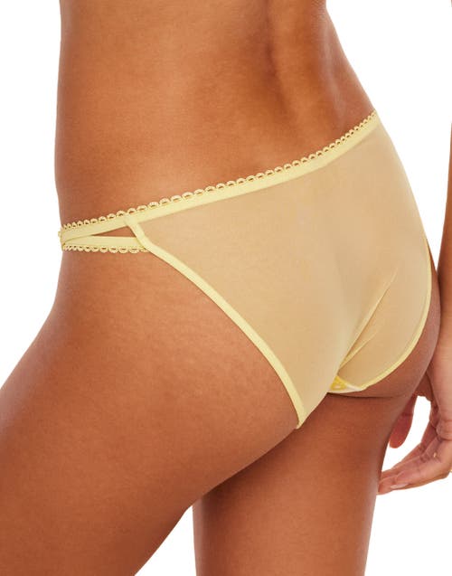 Adore Me Rochelle Bikini Panties In Novelty White