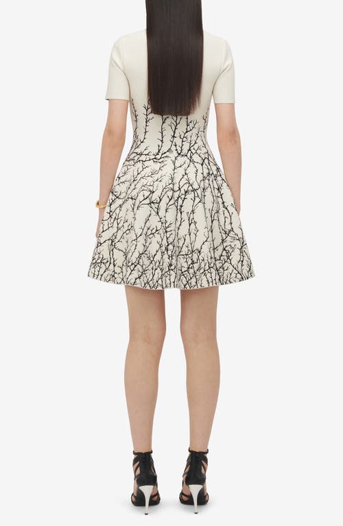 Shop Alexander Mcqueen Thorn Jacquard Fit & Flare Dress In Ivory/black