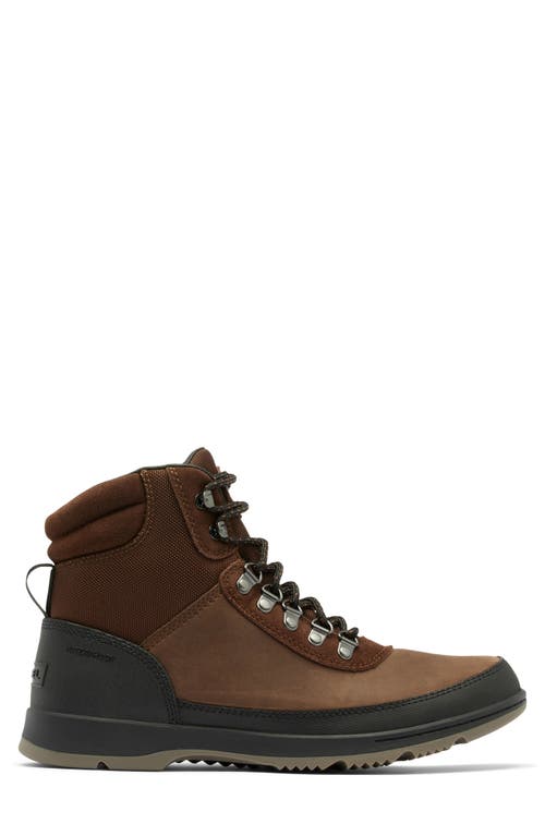 Shop Sorel Ankeny Ii Waterproof Hiking Boot In Tobacco/black