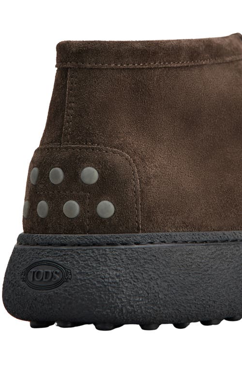 Shop Tod's Burlotto Chukka Boot In Testa Moro