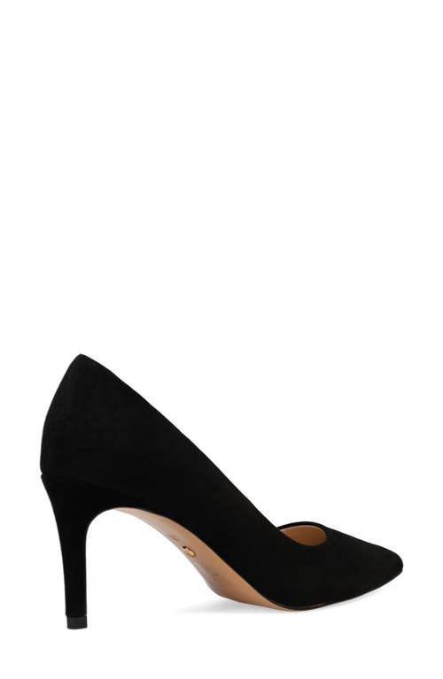 Pelle Moda Lizel 2 Pointed Toe Pump In Black