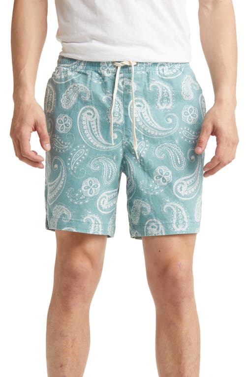 PacSun Men's Reed Paisley Print Twill Volley Shorts in Mint