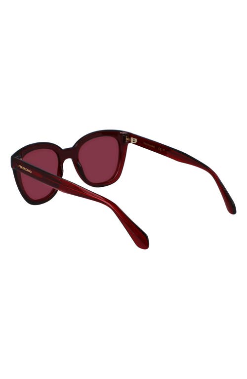 Shop Ferragamo Classic Logo Tea Cup 52mm Round Sunglasses In Transparent Red