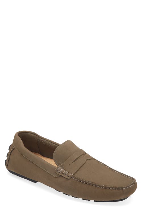 Cody Driving Loafer in Taupe