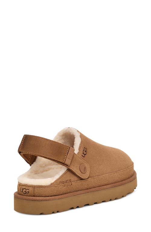 Shop Ugg(r) Goldenstar Cozy Clog In Chestnut