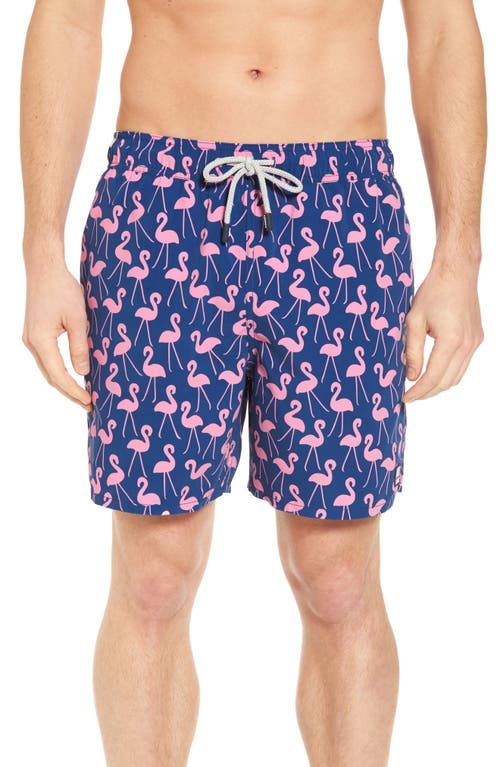 Tom & Teddy Flamingo Print Swim Trunks In Rose & Blue